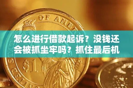 济南怎么进行借款起诉？没钱还会被抓坐牢吗？抓住最后机会！