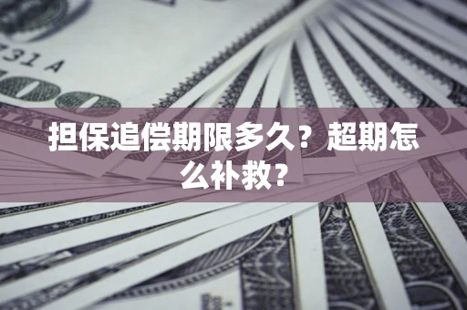 济南担保追偿期限多久？超期怎么补救？