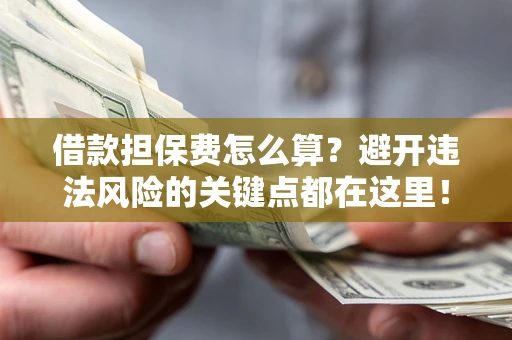 济南借款担保费怎么算？避开违法风险的关键点都在这里！
