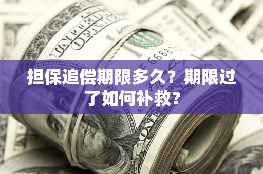 济南担保追偿期限多久？期限过了如何补救？