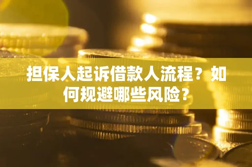 济南担保人起诉借款人流程？如何规避哪些风险？
