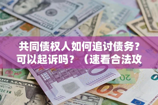 济南共同债权人如何追讨债务？可以起诉吗？（速看合法攻略）
